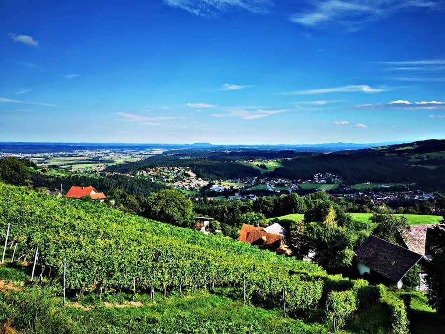 Wiednermichl - Urlaub In Den Weinbergen Krottendorf bei Ligist ภายนอก รูปภาพ